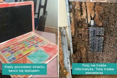 Informatycy i serwisanci dzielą się najgorszymi przypadkami, z jakimi spotkali się w pracy
