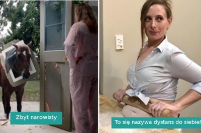 Patrząc na te zdjęcia zastanowisz się, co tu w ogóle się dzieje?