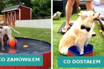 Te osoby zagrały w grę o nazwie zakupy w Internecie, i poległy z kretesem