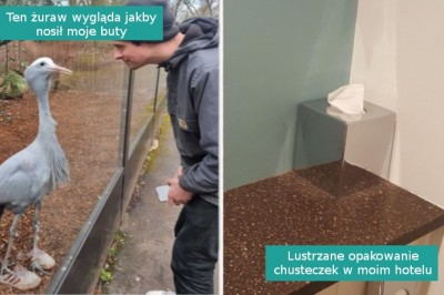 15 zdjęć, którym trzeba się przyjrzeć, by je zrozumieć