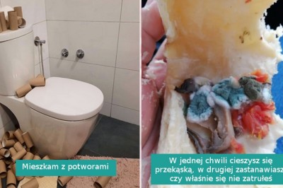 14 osób, które dały upust swojej frustracji po tym co je spotkało