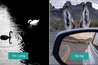 18 niecodziennych i zdumiewających momentów uchwyconych na zdjęciach