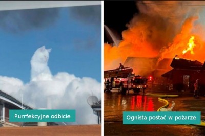 17 przykładów „przypadkowego surrealizmu” uchwyconego przez internautów