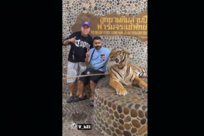 Miało być pamiątkowe zdjecie, ale tygrys miał nieco inne plany