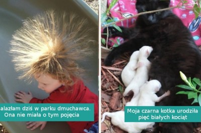 15 osób, które podzieliły się interesującymi odkryciami