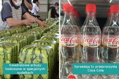 18 faktów pokazujących, że Japonia wyróżnia się na tle każdego  państwa