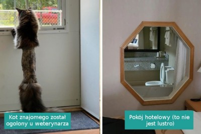 16 zdjęć, które wystawiły nasz wzrok na próbę