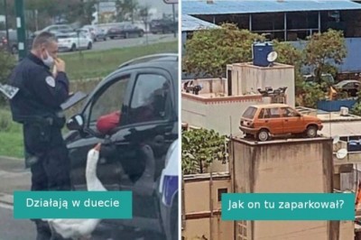 17 zabawnych i dziwacznych zdjęć, które zdecydowanie potrzebują kontekstu