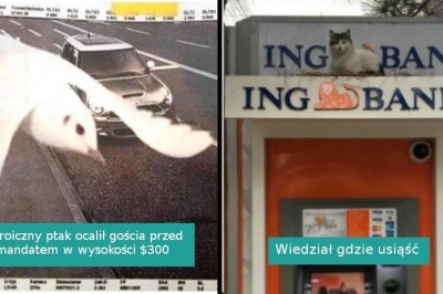 18 sytuacji, które pokazują, że niemożliwe nie istnieje
