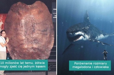 16 fascynujących zdjęć pokazujących, że miliony lat temu „natura była dla twardzieli”