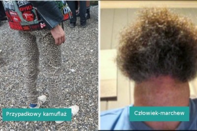 15 zdjęć, które zasługują na miejsce w muzeum zdumienia i zmieszania