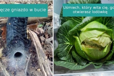 20 sytuacji, w których natura przygotowała dla nas małą niespodziankę