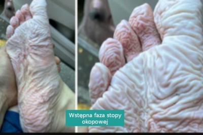 16 zdjęć pokazujących, że człowiek to najbardziej wyjątkowa istota na świecie