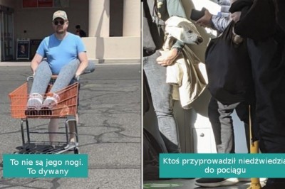 15 zdjęć, które oszukają twój wzrok, jeśli nie przyjrzysz się im dokładniej