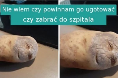 16 podstępnych zdjęć, które przedstawiają coś zupełnie innego niż myślimy