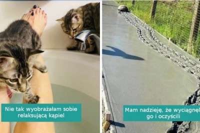 17 zwierzaków, które zasłużyły na nagrodę dla największego łobuziaka