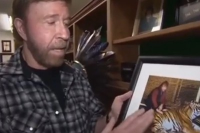 Chuck Norris opowiada żart o sobie i tygrysie