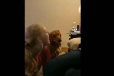 Pies który zrobi wszystko żeby tylko dostać przekąskę