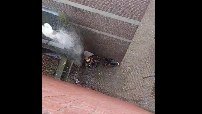 Szybka kara za sikanie komuś pod oknami