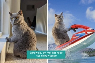 14 fotografii, które trafiły w ręce mistrzów Photoshopa