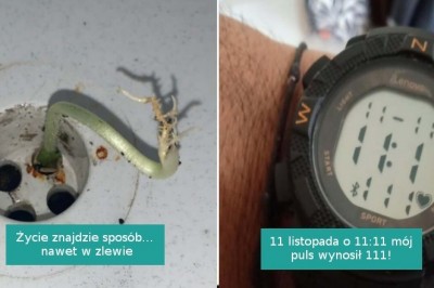 18 fotografii pokazujących, że świat jest pełen niespodzianek