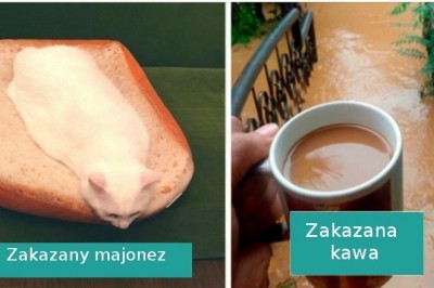 21 „zakazanych potraw”, które wyglądają pysznie, ale są niejadalne