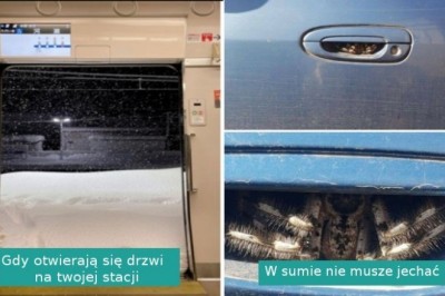 17 osób, które pechowo znalazły się w niefortunnych sytuacjach