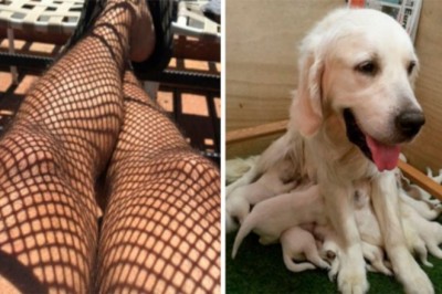 16 osób, które zauważyły coś, co przykuło ich uwagę