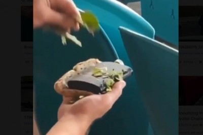 Ziomek wymyślił jak wnieść alko na stadion