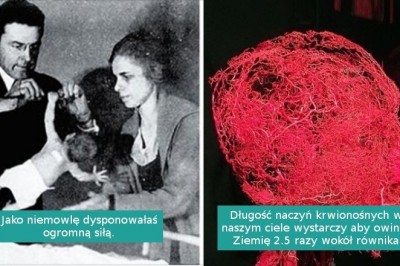 10 niecodziennych faktów, które pokazują, że nasze ciała są pełne tajemnic