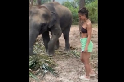 Dowiedziała się dlaczego nie podchodzić do dzikich zwierząt