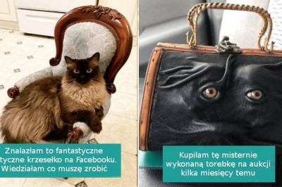 18 szczęściarzy, którym udało się kupić coś niezwykłego z drugiej ręki