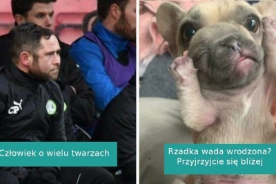 16 fotografii, które wystawiły nasz wzrok i percepcję na próbę