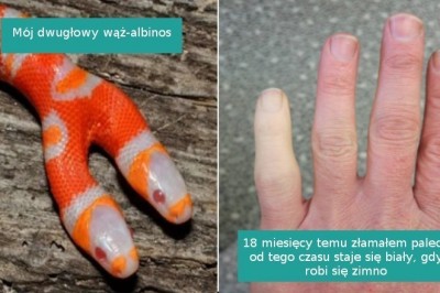 15 pozornie zwykłych rzeczy, które okazały się zupełnie nietypowe