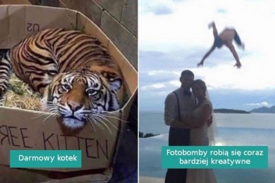 16 dziwnych fotografii, które wymagają więcej kontekstu