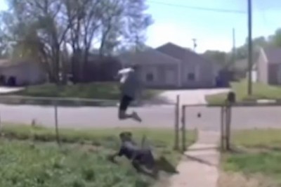 Kurier kontra pies. Gość był totalnie zaskoczony