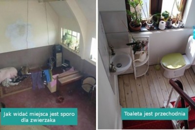 Najdziwniejsze fotografie mieszkań wystawionych przez biura nieruchomości