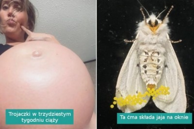 18 fotografii pokazujących piękno tajemnic natury