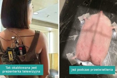 17 fotografii ukazujących nasz świat z alternatywnej strony