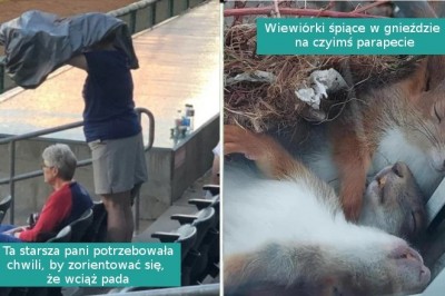 16 fotografii, które mogą natychmiastowo poprawić ci humor