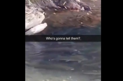 Zapaleni wędkarze kontra amator z telefonem