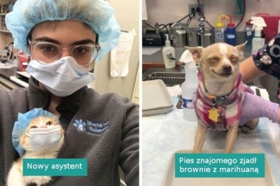 16 weterynarzy, którzy spotkali w swojej pracy wyjątkowo słodkich pacjentów