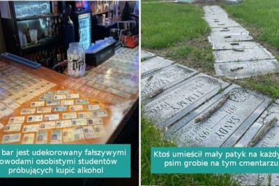 17 pozornie zwyczajnych rzeczy i wydarzeń, którymi podzielili się internauci