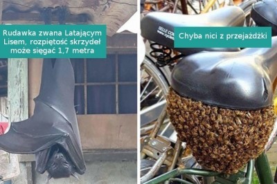 20 momentów, kiedy matka natura mówi nam zdecydowane NIE i czas się wycofać
