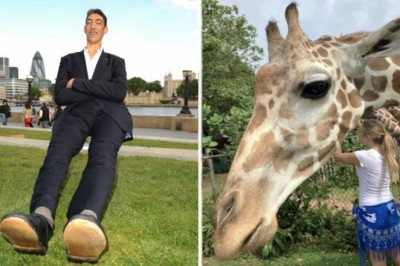 20 fotografii, które sprawią, że zaczniesz kwestionować rzeczywistość