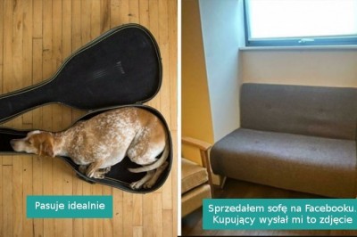 Przykłady rzeczy dopasowanych tak idealnie, że po prostu trzeba było je uwiecznić