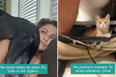 16 zwierzaków, które ewidentnie nie wiedzą czym jest przestrzeń osobista