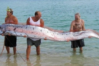 Te przykłady pokazują, że łatwiej zrozumieć niektóre rzeczy mając porównanie