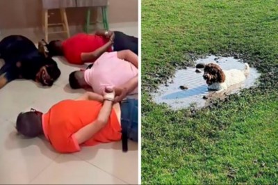 „Co jest nie tak z twoim psem?” 16 psów, u których wystąpił nieoczekiwany błąd systemu