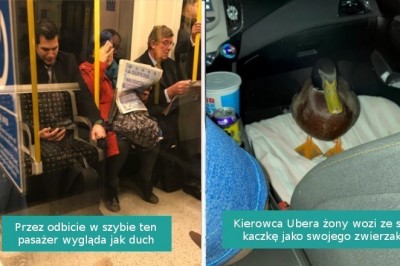 16 fotografii pokazujących, że małe cuda otaczają nas ze wszystkich stron